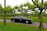 Le Jaguar nella zona del Prosecco e Cartize (103/152)